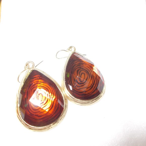 Amber Earrings Jewelry - Luxury Amber Erings In Gift Box